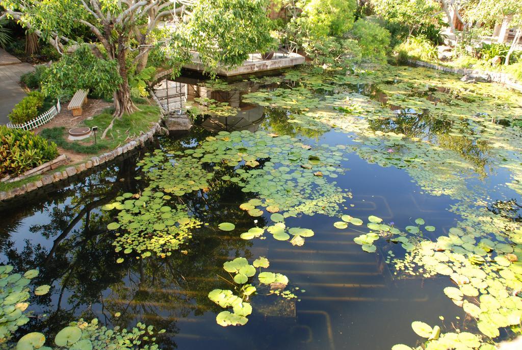 Yukurinaresort Okinawa Hills Churaumi Motobu Exterior photo